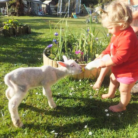 Little Paradise & Petting Farm Greymouth Buitenkant foto