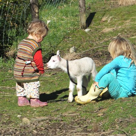 Little Paradise & Petting Farm Greymouth Buitenkant foto