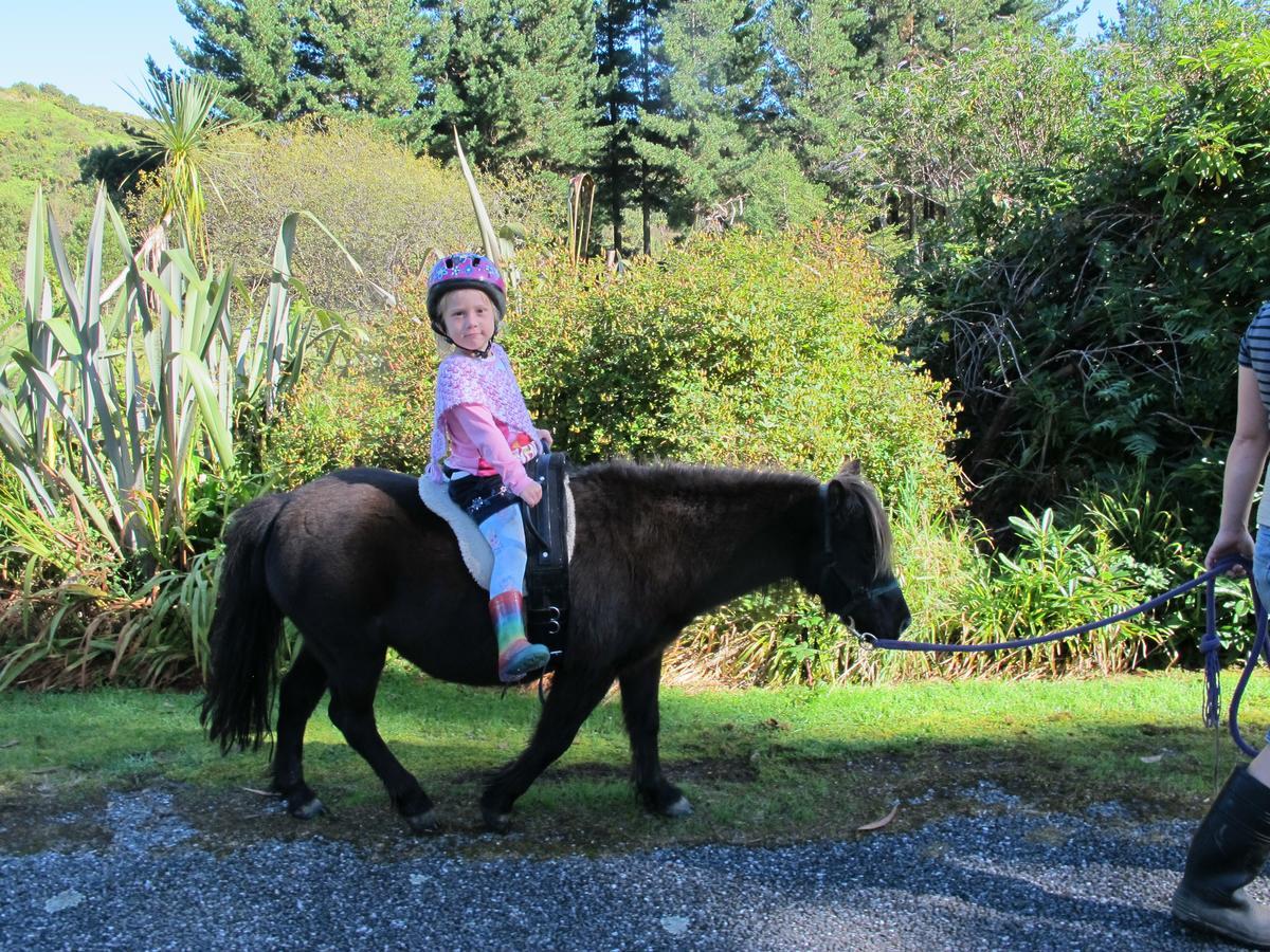 Little Paradise & Petting Farm Greymouth Buitenkant foto