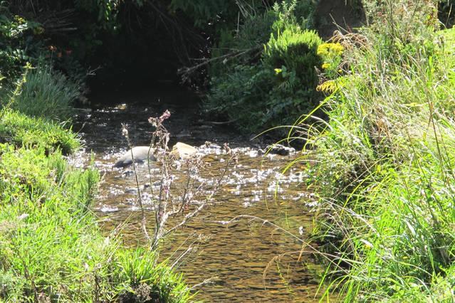Little Paradise & Petting Farm Greymouth Buitenkant foto