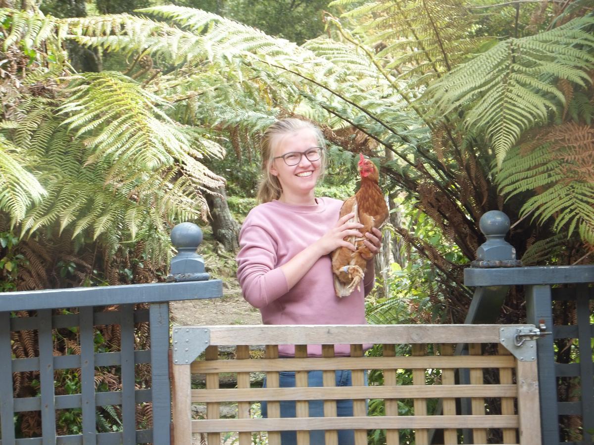 Little Paradise & Petting Farm Greymouth Buitenkant foto