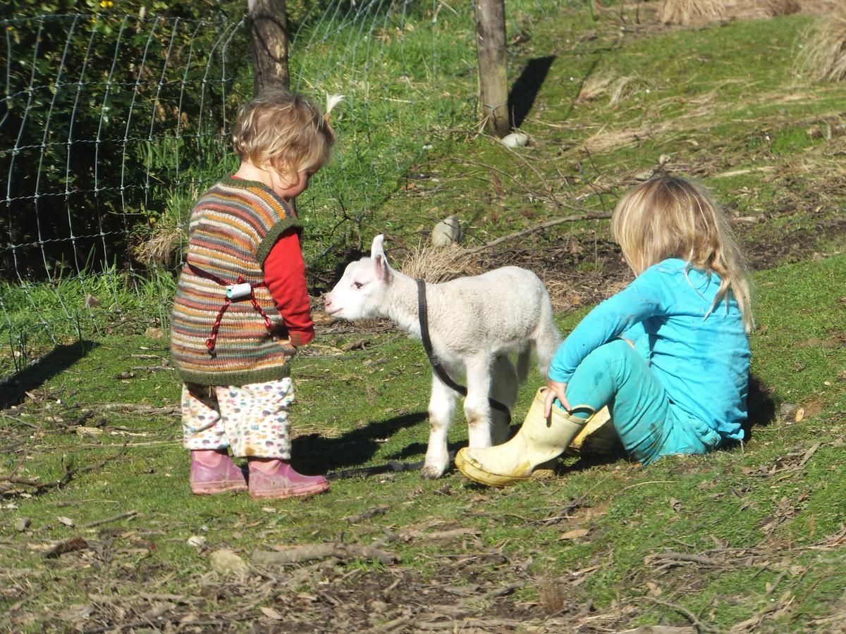Little Paradise & Petting Farm Greymouth Buitenkant foto